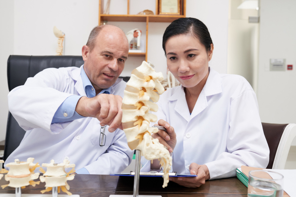 Médico y médica discutiendo sobre un modelo de columna vertebral en un entorno clínico, analizando aspectos anatómicos y de salud.